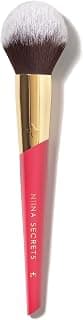 NIINA SECRETS PINCEL BLUSH