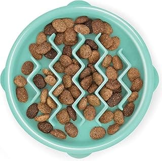 Tigela Outward Hound Fun Feeder, para alimentação lenta, pequeno, Mint